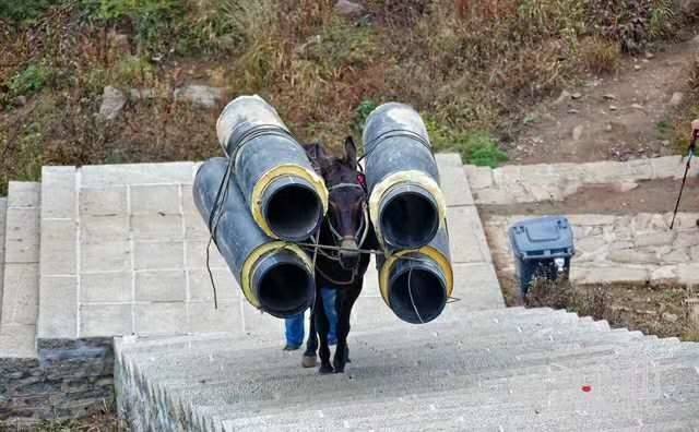 张家界马帮运输